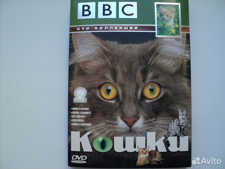 Кошки DVD коллекция ввс