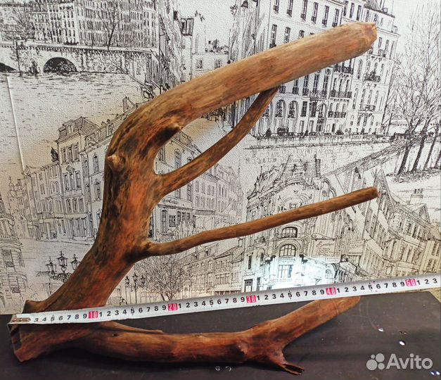 Коряга для декора аквариума террариума