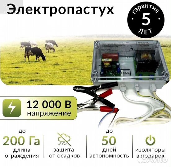 Электропастух для лошадей