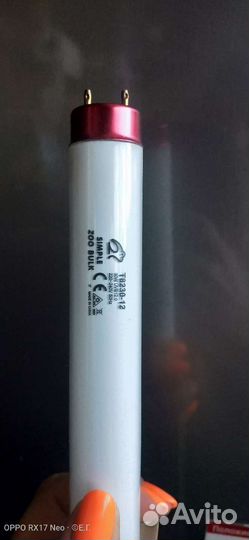 Ультрафиолетовая лампа для рептилий