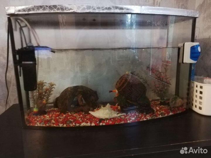 Аквариум