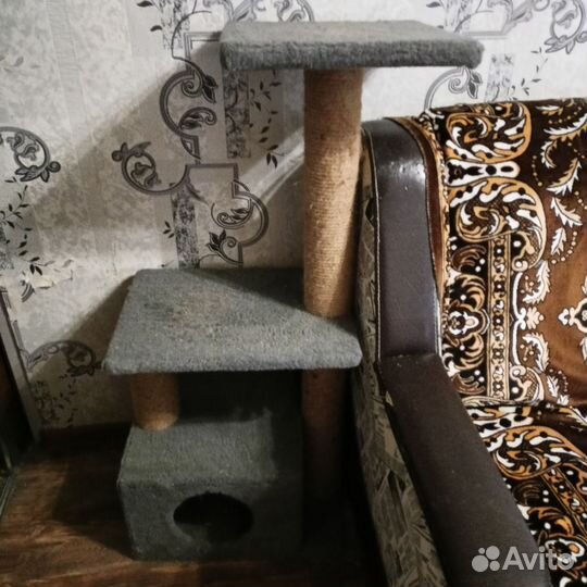 Домик когтеточка для большой кошки