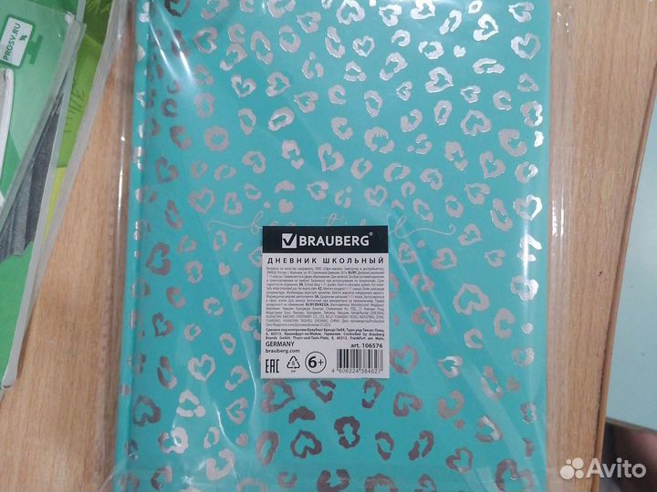 Школьный дневник