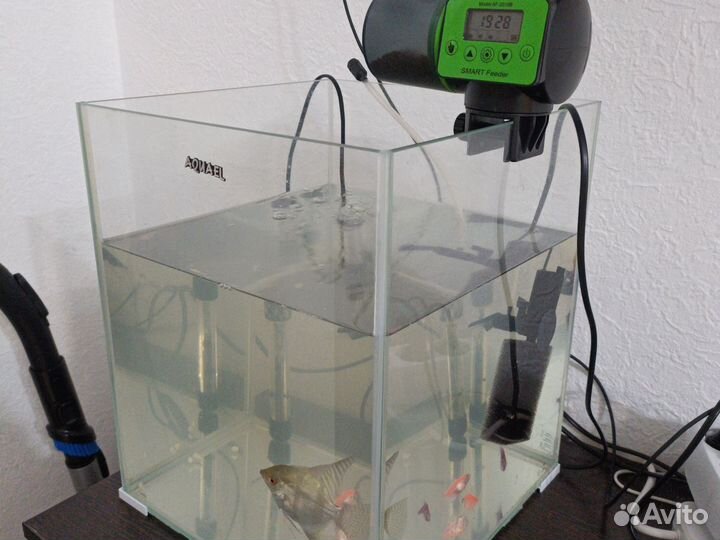 Аквариум с рыбками, фильтром и кормушкой