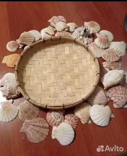Ракушки для аквариума/декор для аквариума