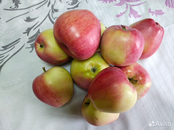 Продам яблоки опт, мелкий опт