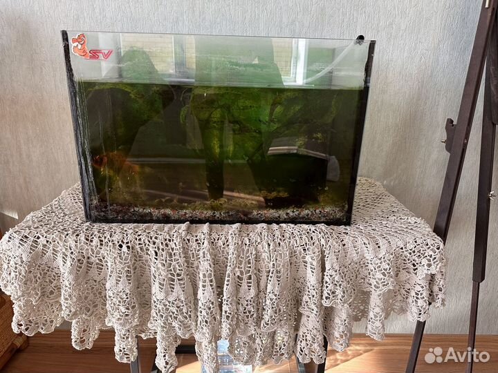 Аквариум с рыбками