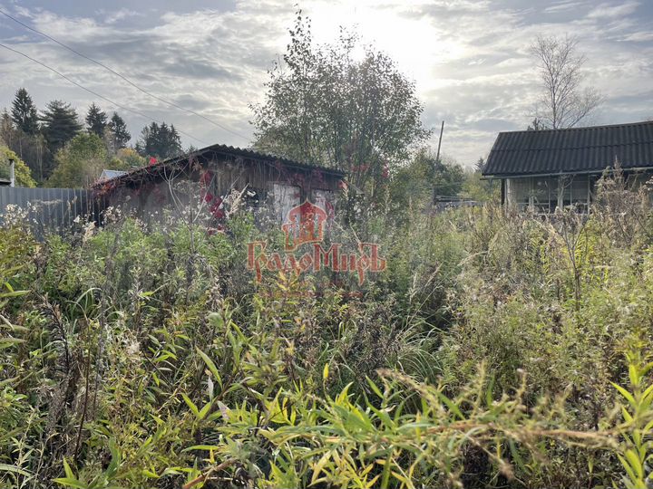 Участок 6 сот. (СНТ, ДНП)