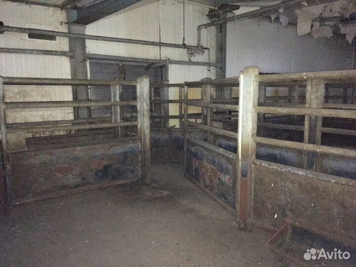 Ограждение крс, загон крс, забор крс