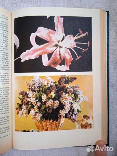 Энциклопедия домашнего хозяйства. Новые книги