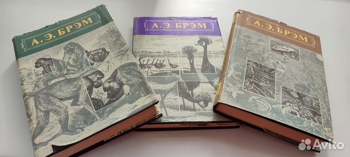 Книги А. Э. брэма 