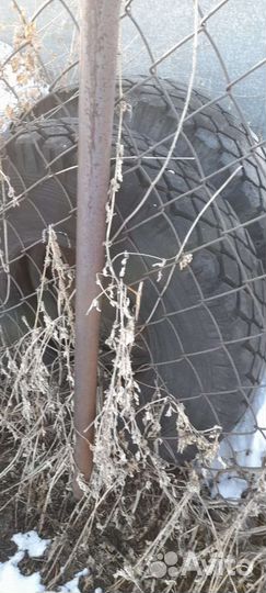 Шины сельхоз и спец техника