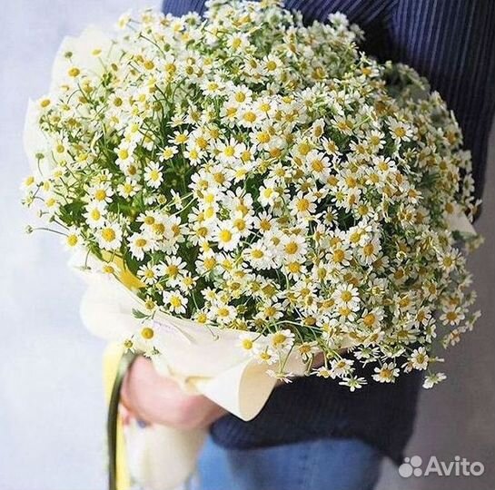 Цветы ромашки. Букеты ромашек. Цветы доставка
