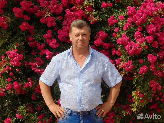 Ремонт варочных панелей, духовок и плит