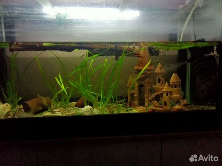 Аквариум