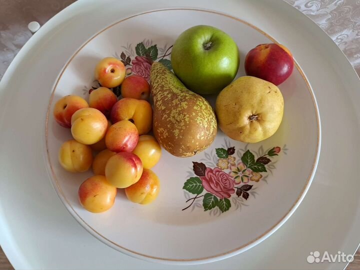 Блюдо большое фарфор Хайтинский завод СССР