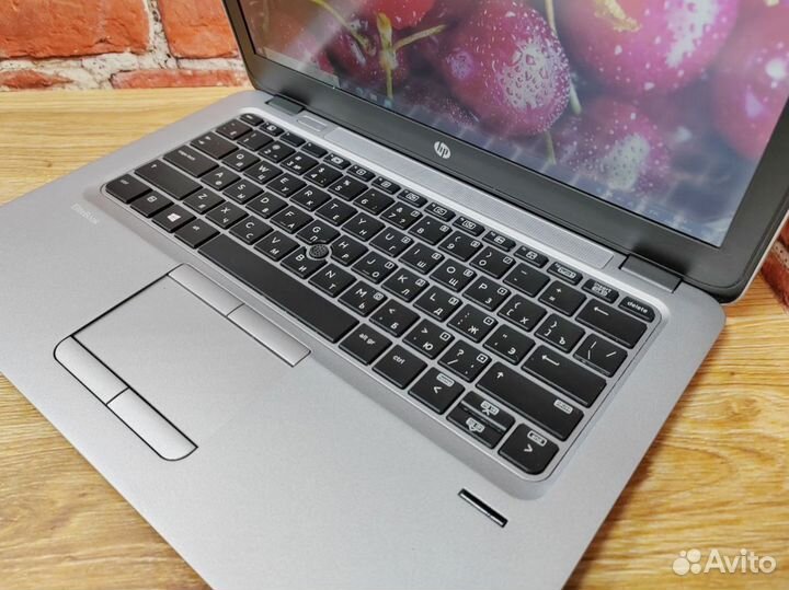 8gb PRO A8 Игровой HP EliteBook 725 G3 Ноутбук