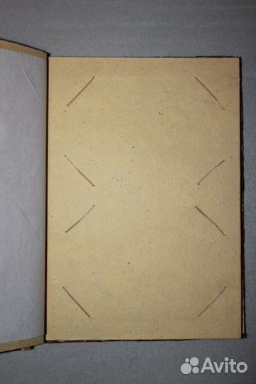 Фотоальбом экзотический Пальмовые листья