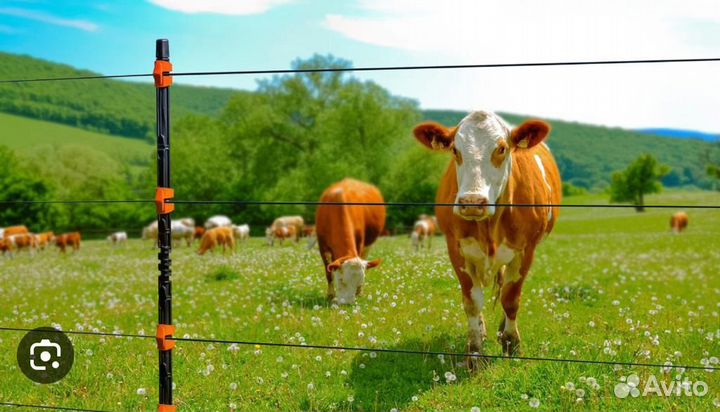 Электропастух