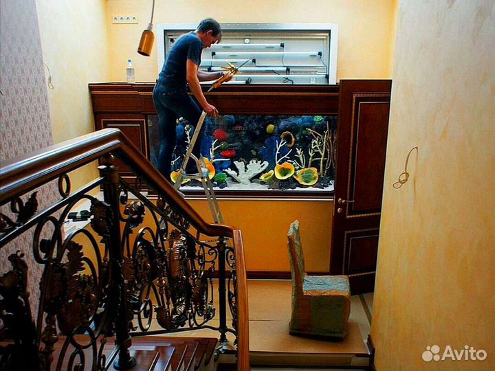 Установка, Обслуживание, Чистка, Ремонт Аквариумов