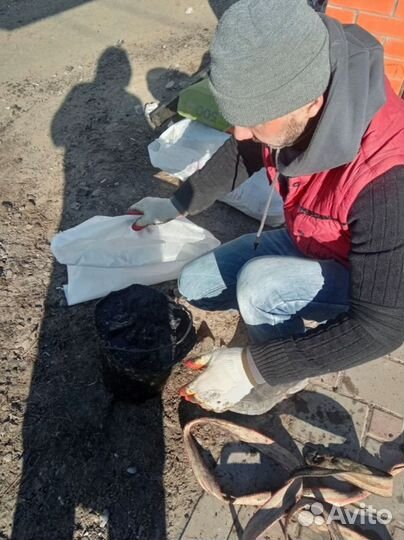 Чистка сливных ям, очистка сливных ям