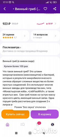 Винный гриб