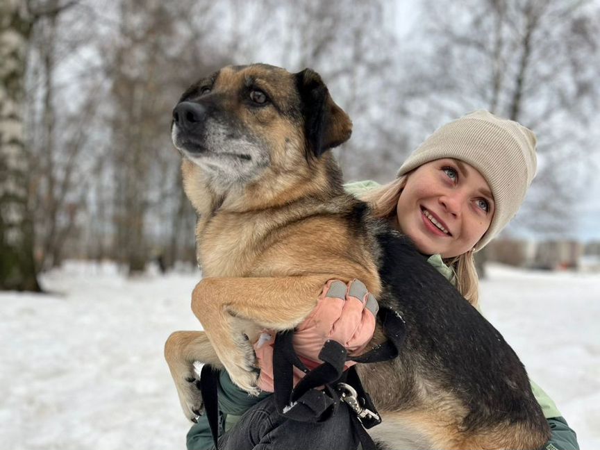 Собака Глаша страдает в приюте