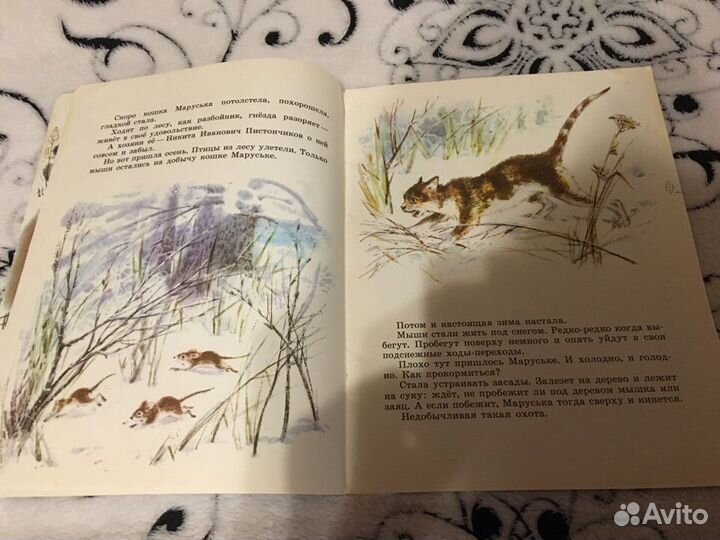 Детские книги СССР Кот Епифан