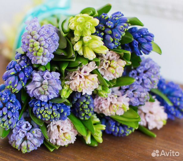 Букет из разноцветных гиацинтов 9 шт