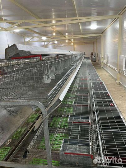 Оборудование для кролиководства, клетки