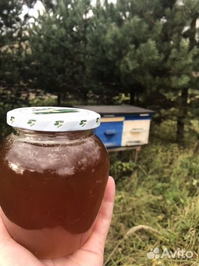 Мёд прямо с собственной пасеки