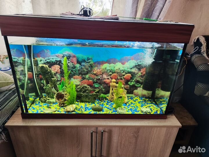 Аквариум