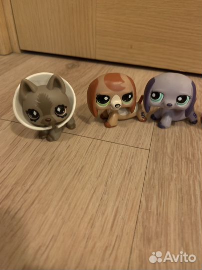 Littlest Pet Shop