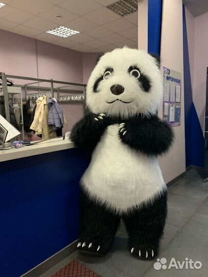 Поздравления от белого медведя