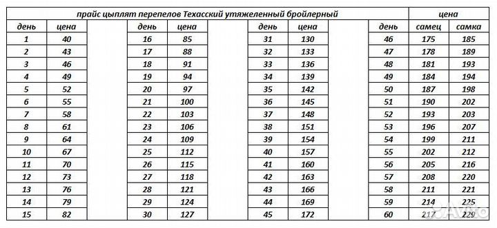 Цыплята бройлеры, перепел техасский бройлер