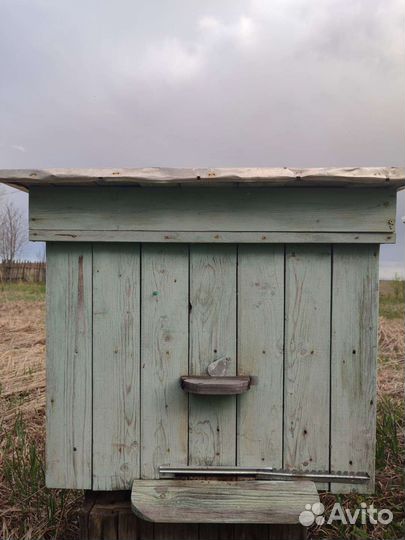 Ульи для пчел