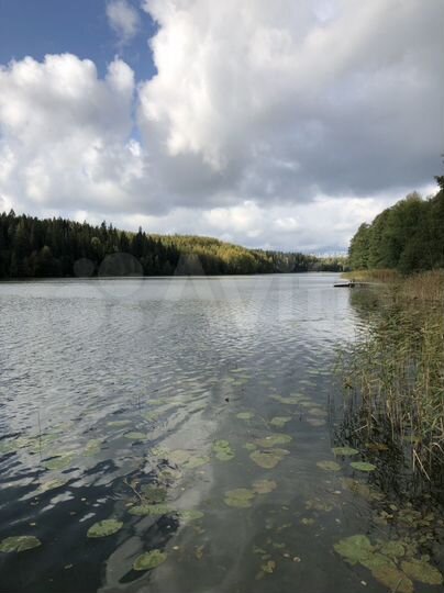 Участок 17,5 сот. (ИЖС)