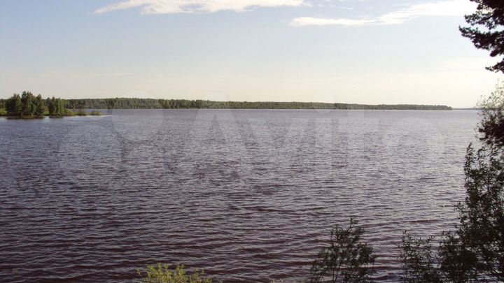 Участок 1169,22 га (СНТ, ДНП)