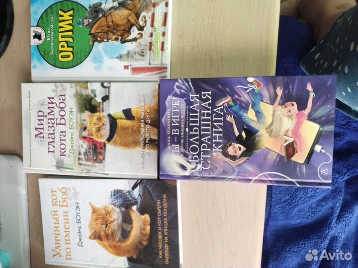 Книга Хейли, детские книги