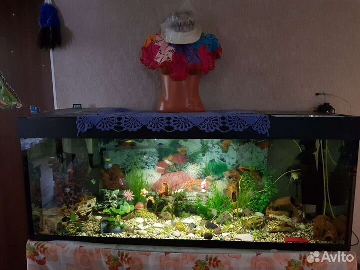 Аквариум