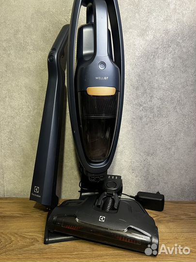 Вертикальный пылесос Electrolux Well Q7