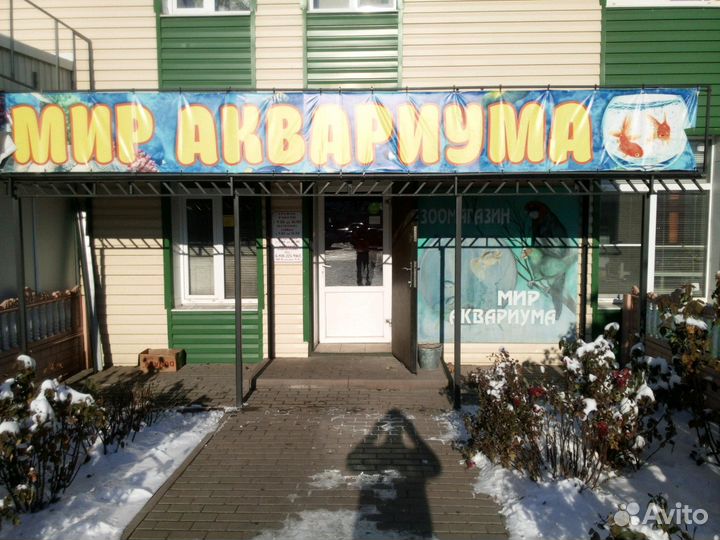 Мир аквариума