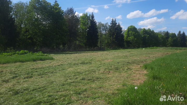 Покос травы триммером