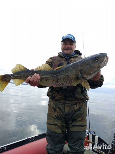 Рыбалка треска,судак,лосось