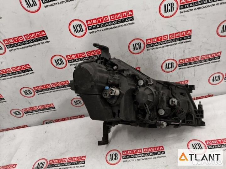 Фара левая nissan fuga