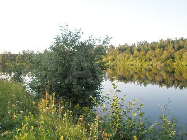 Участок 4,1 га (СНТ, ДНП)