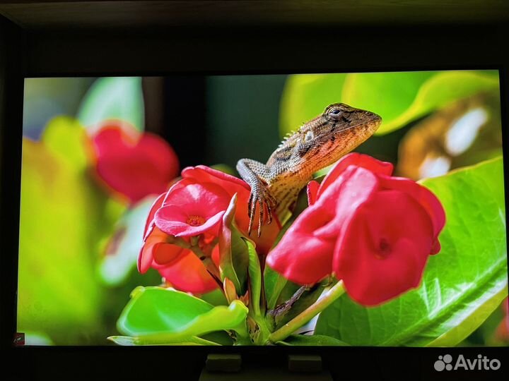 Samsung ue55nu7090u