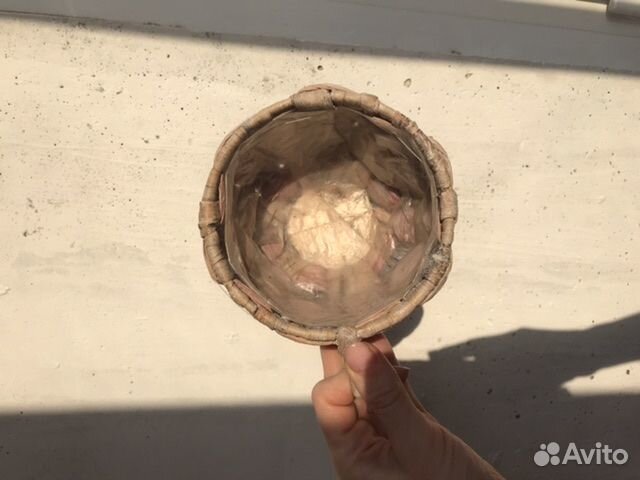 Кашпо для кактуса/суккулента маленького