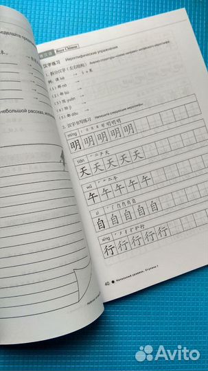 Учебник/тетрадь/справочник Boya Chinese начальный