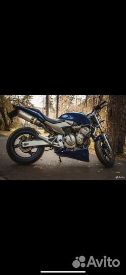 Хонда хорнет honda cb 600 hornet